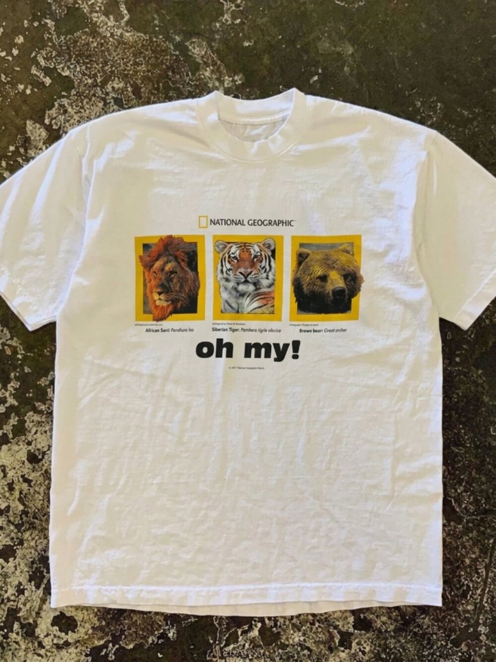 National Geographic Tshirt